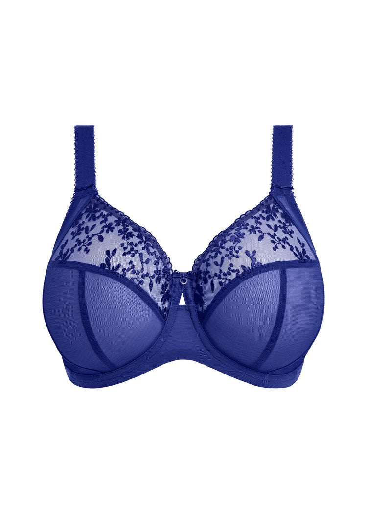 Model in Zarla Full Cup BH Sapphire packshot