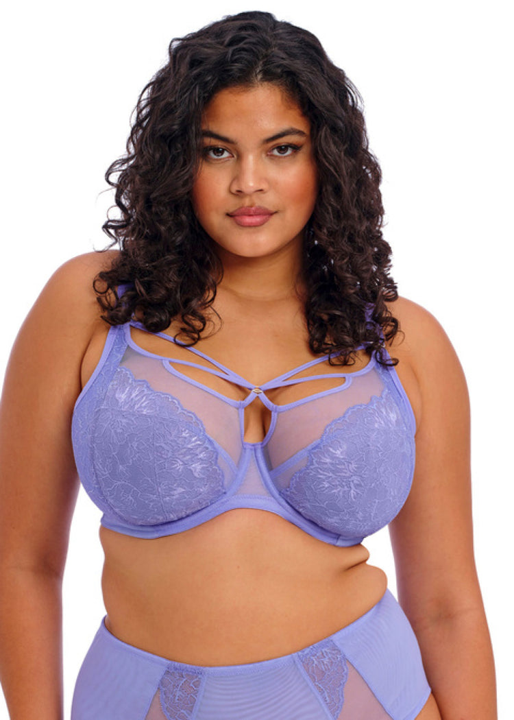 Brianna Plunge BH Jacaranda