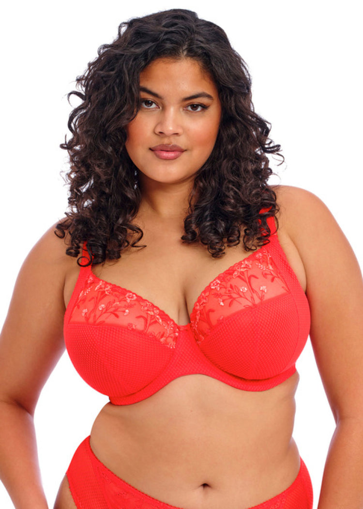Charley Salsa Plunge BH