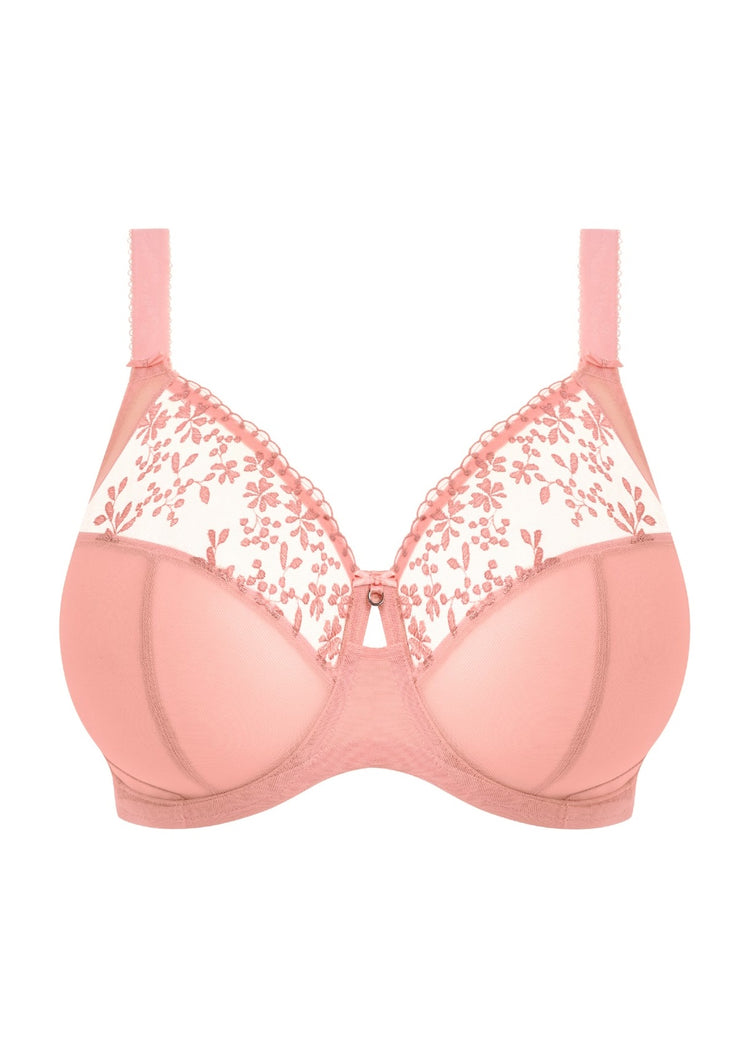 Model in Zarla Full Cup BH Rose Bud packshot