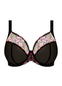 Model in Teagan Plunge BH Rainbow packshot