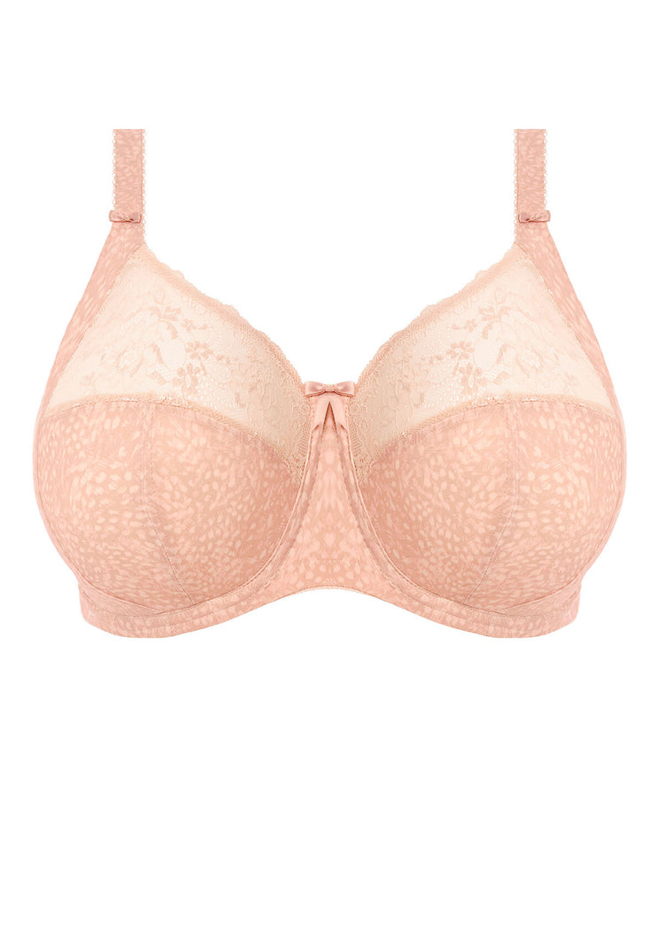 Model in Morgan Full Cup BH Cameo Rose packshot