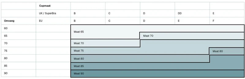 Size Table